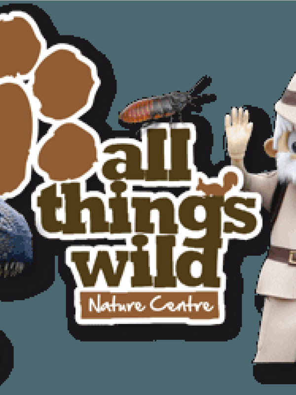 All_Things_Wild_Honeybourne